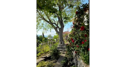 Akovos Cottage Garden Retreat