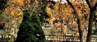 Akovos Cottage Garden Retreat