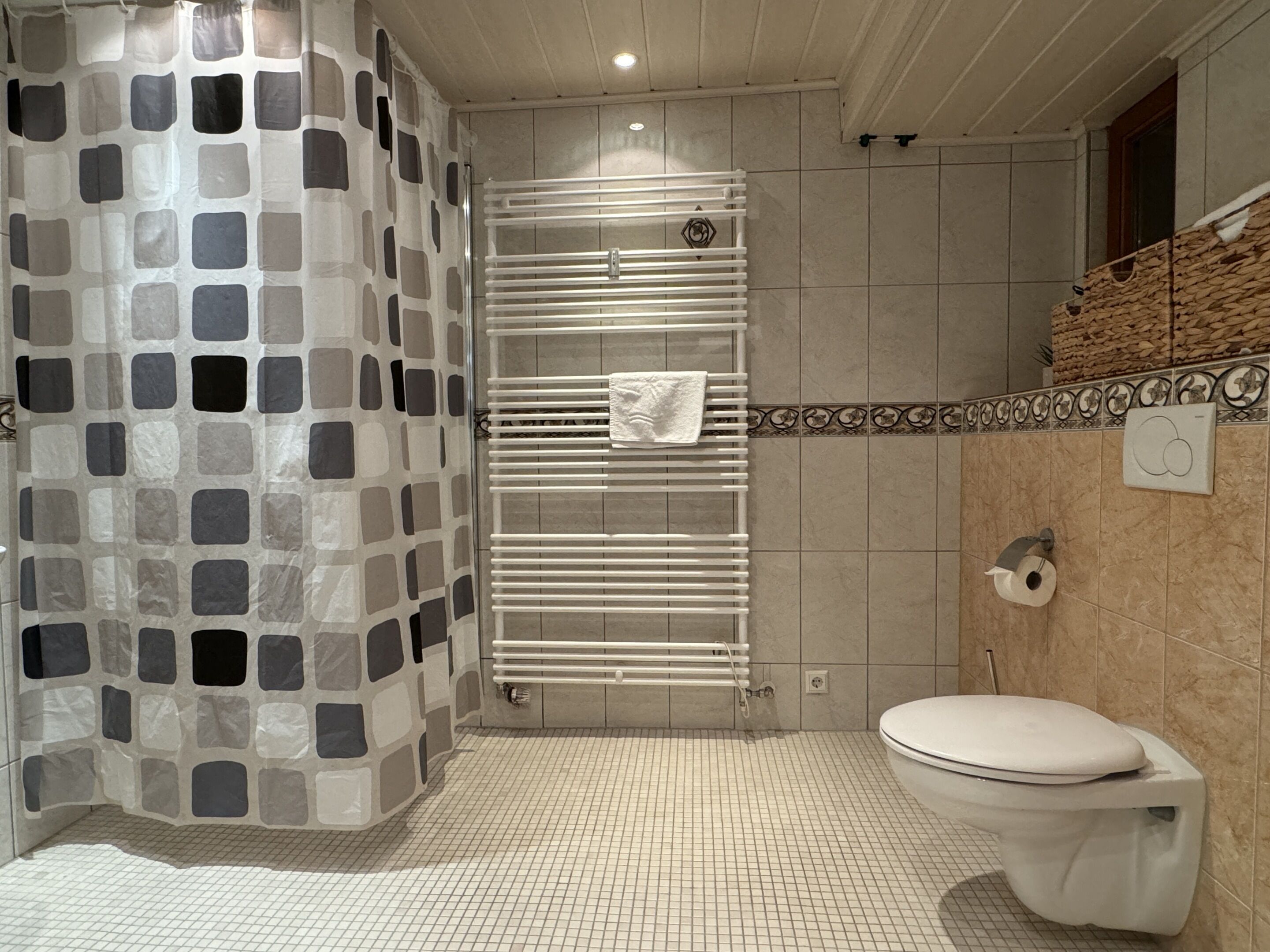 Et badeværelse med bruser, toilet og håndklædestang.