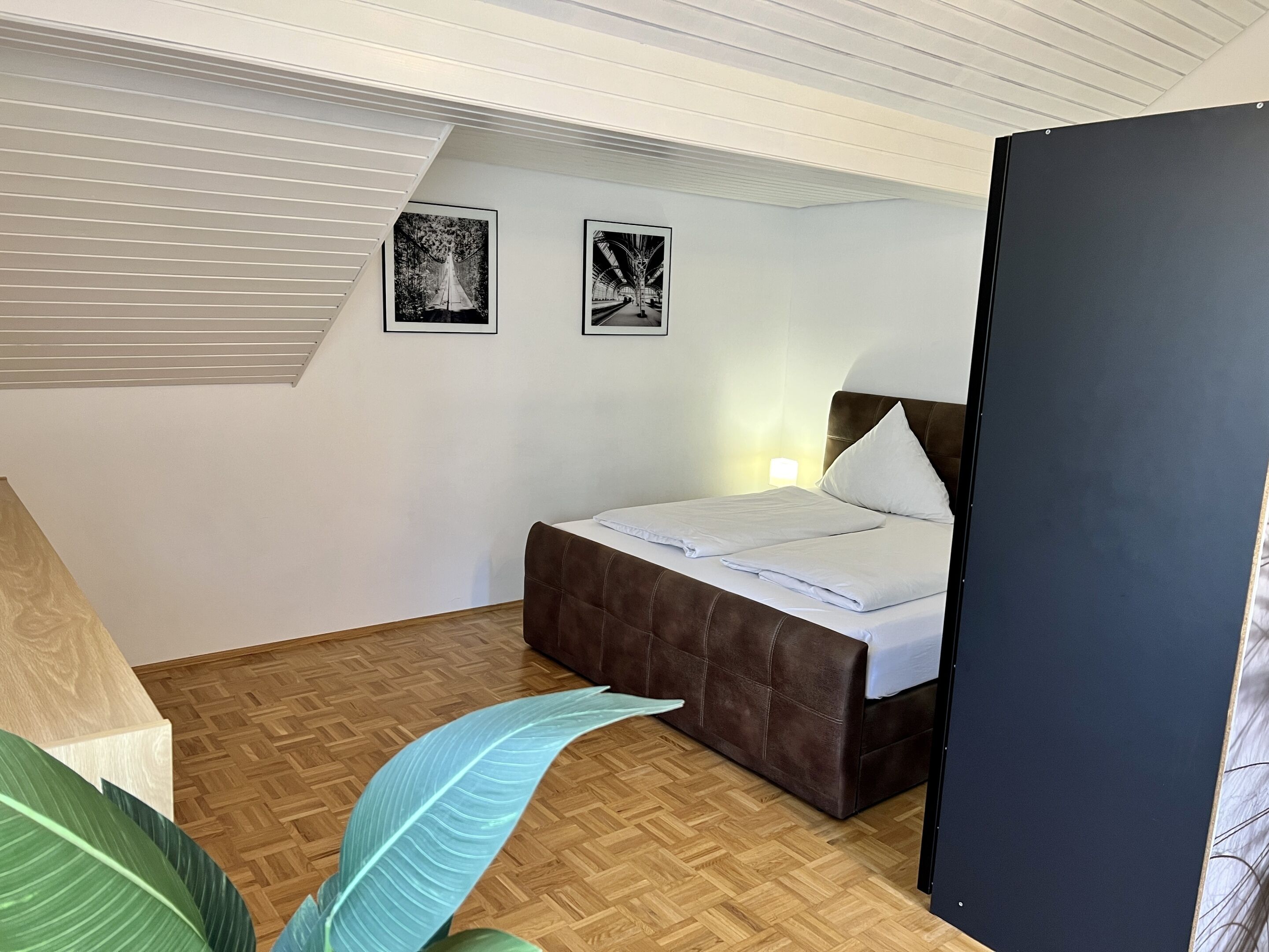 A bedroom with a bed, two framed pictures on the wall, a wooden floor, and a large plant.