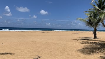 Perto da praia, espreguiçadeiras, toalhas de praia 