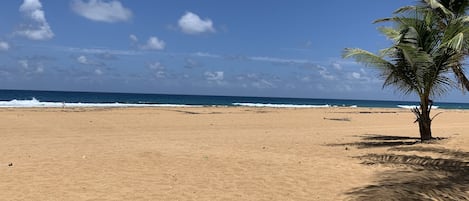 Nära stranden, solstolar och strandhanddukar