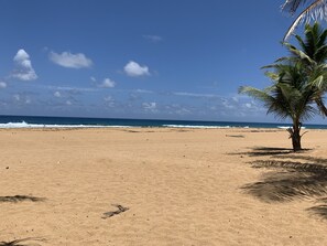 Beach nearby, sun-loungers, beach towels - Rain Forest Edge with an Ocean View, close proximity to many island activities! (Río Grande)