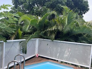 A pool with a white mesh fence, surrounded by lush green foliage.