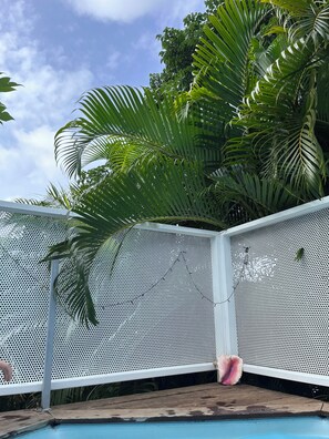Área de piscina com cerca de metal branca, palmeiras e céu claro.