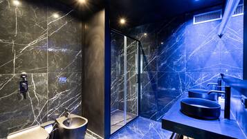 Shower, hair dryer, bidet, towels