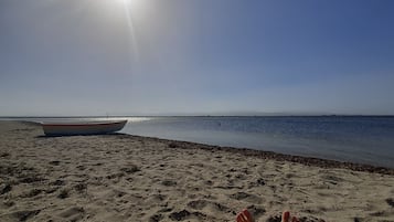 在海灘附近、躺椅