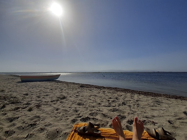 Playa en los alrededores y camastros 