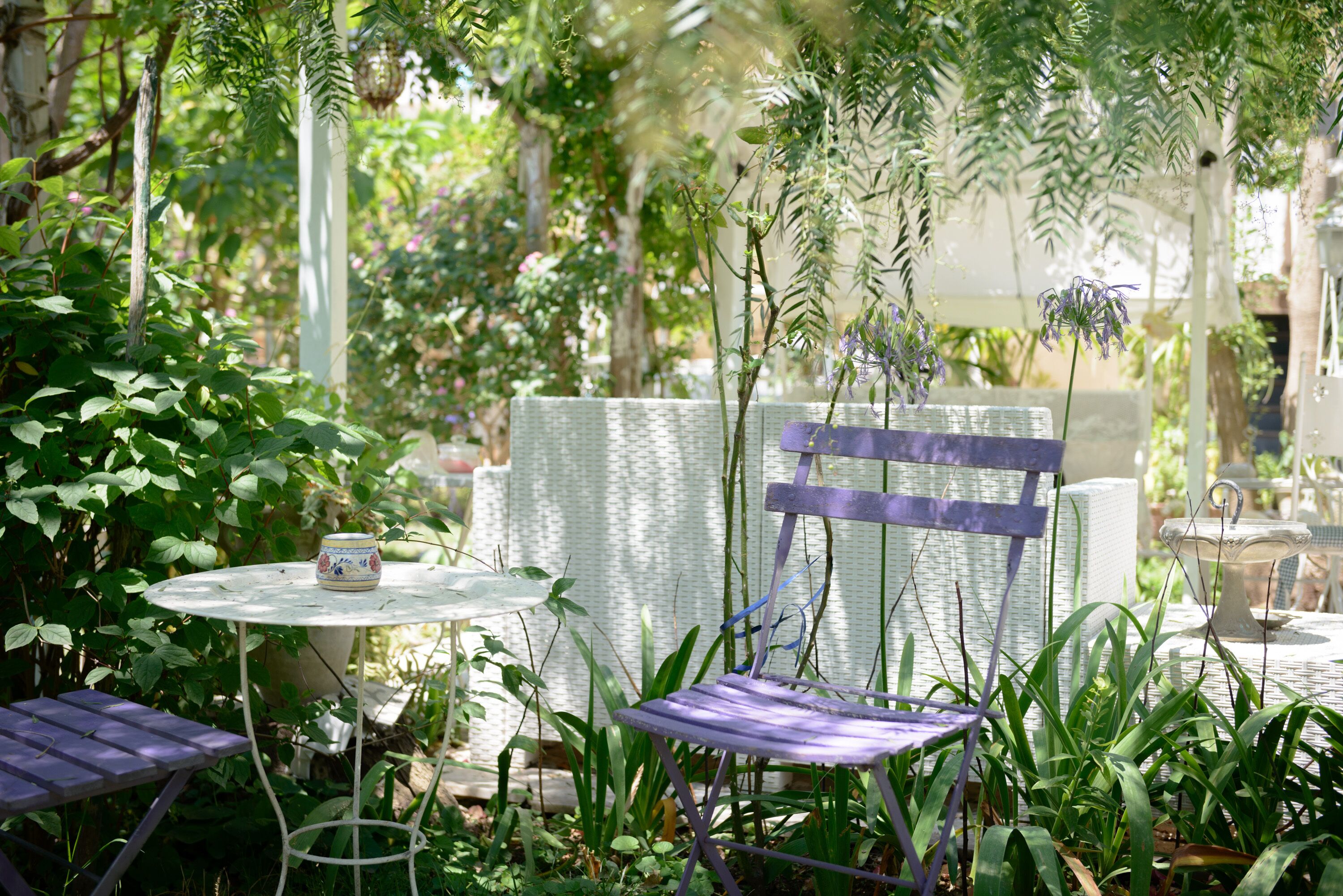 Foto - Giardino Segreto