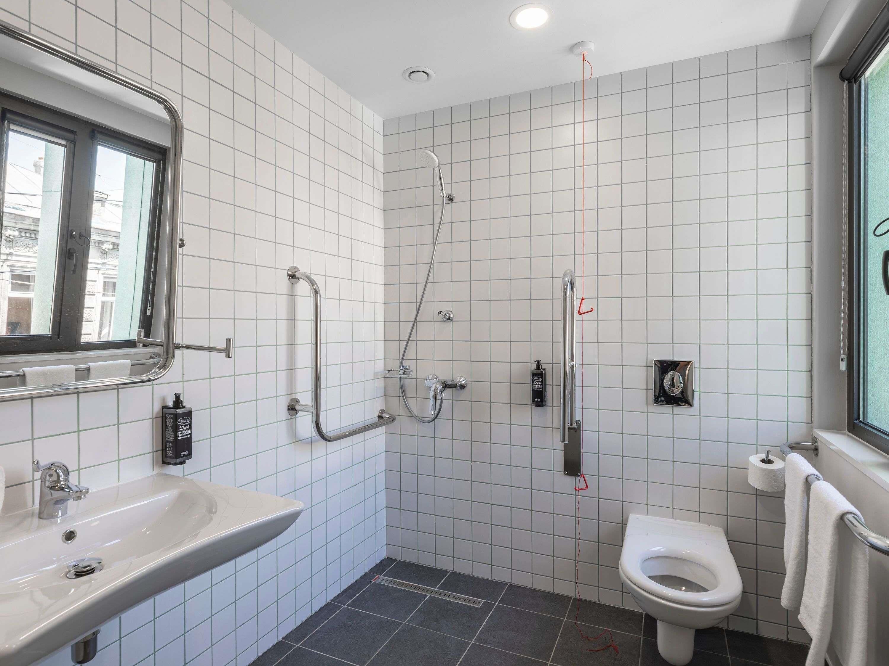 Une salle de bain avec un lavabo, des toilettes et une douche.