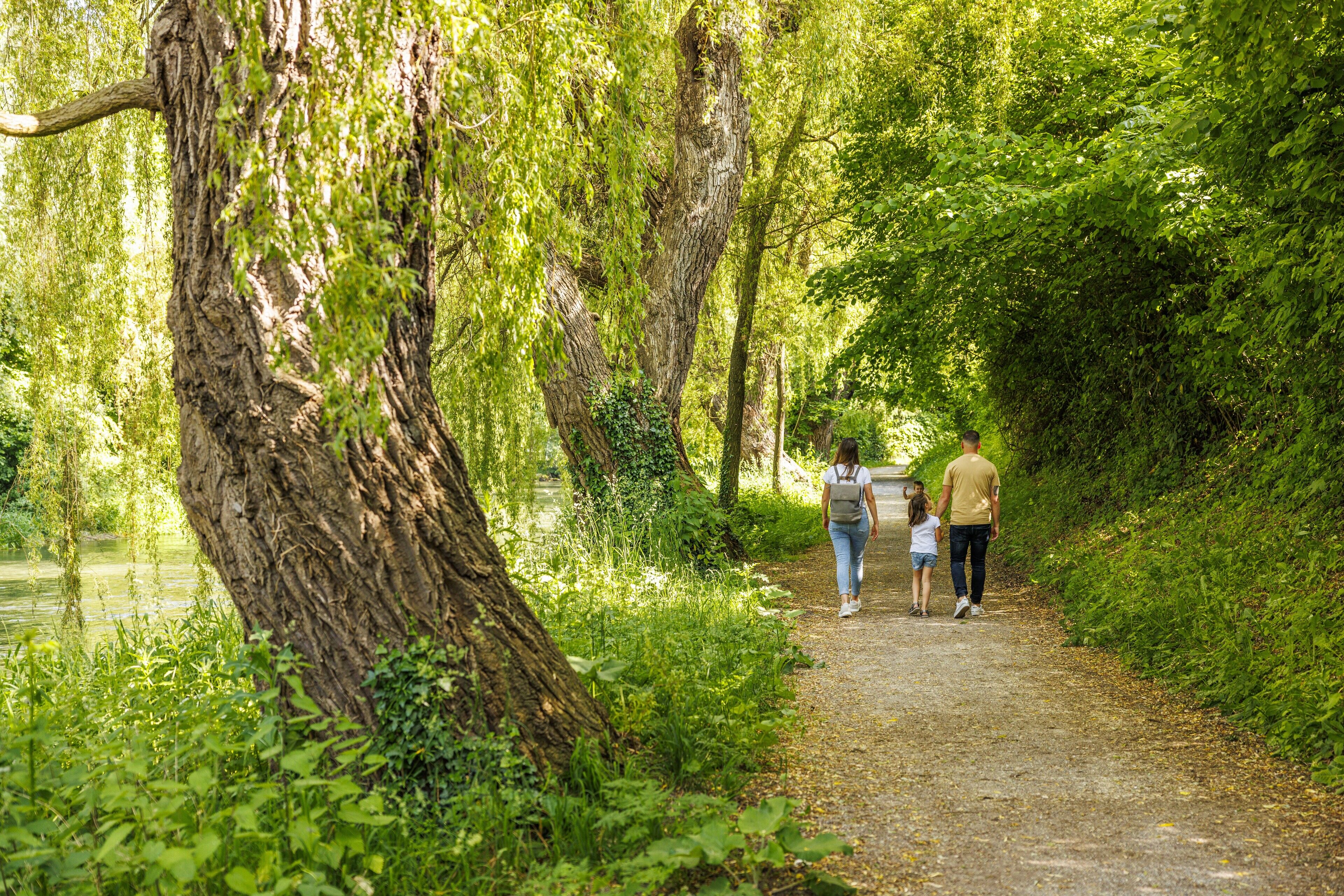 Wandern