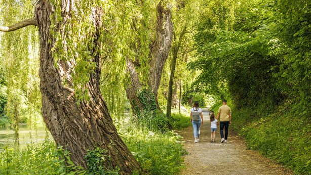 A pathway through a wooded area with trees and greenery. - Ibis Budget Singen (Singen)