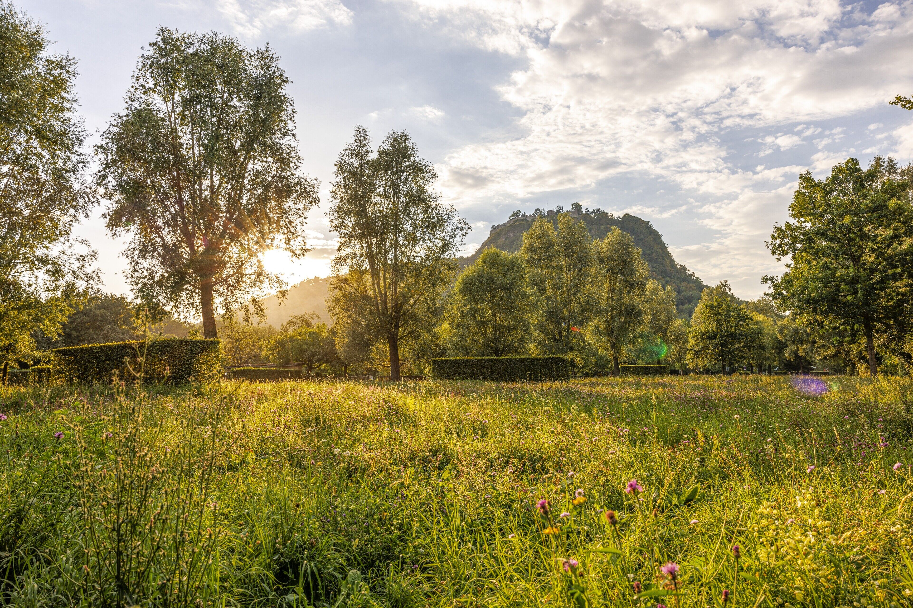Wandern