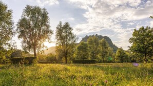 A lush green field with tall trees and a hill in the background. - Ibis Budget Singen (Singen)