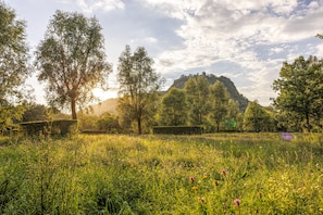 A lush green field with tall trees and a hill in the background. - Ibis Budget Singen (Singen)