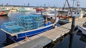A docked fishing boat with blue cages stacked on the deck, a wooden pier, and other boats in the background. - Luxury living, quick walk to town. King bed. (Eastport)