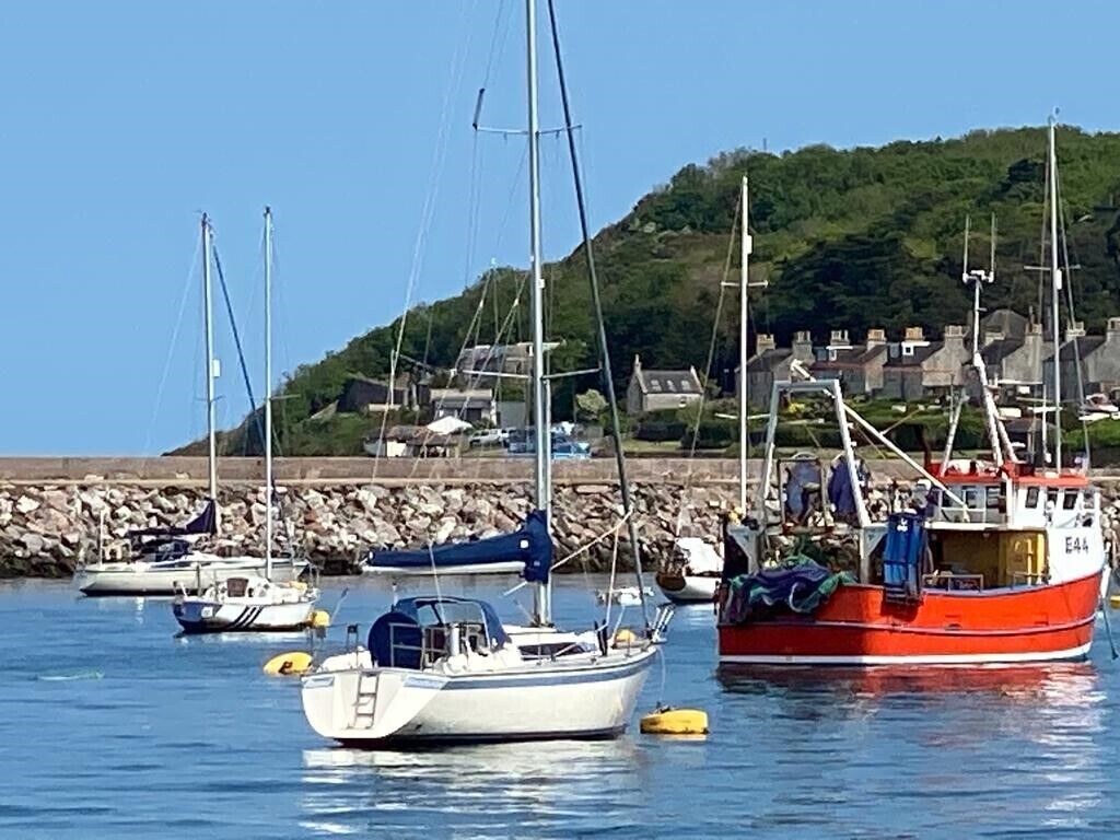 A harbor with several boats, including a red fishing boat and a white sailboat, docked near a rocky shore with houses in the background.