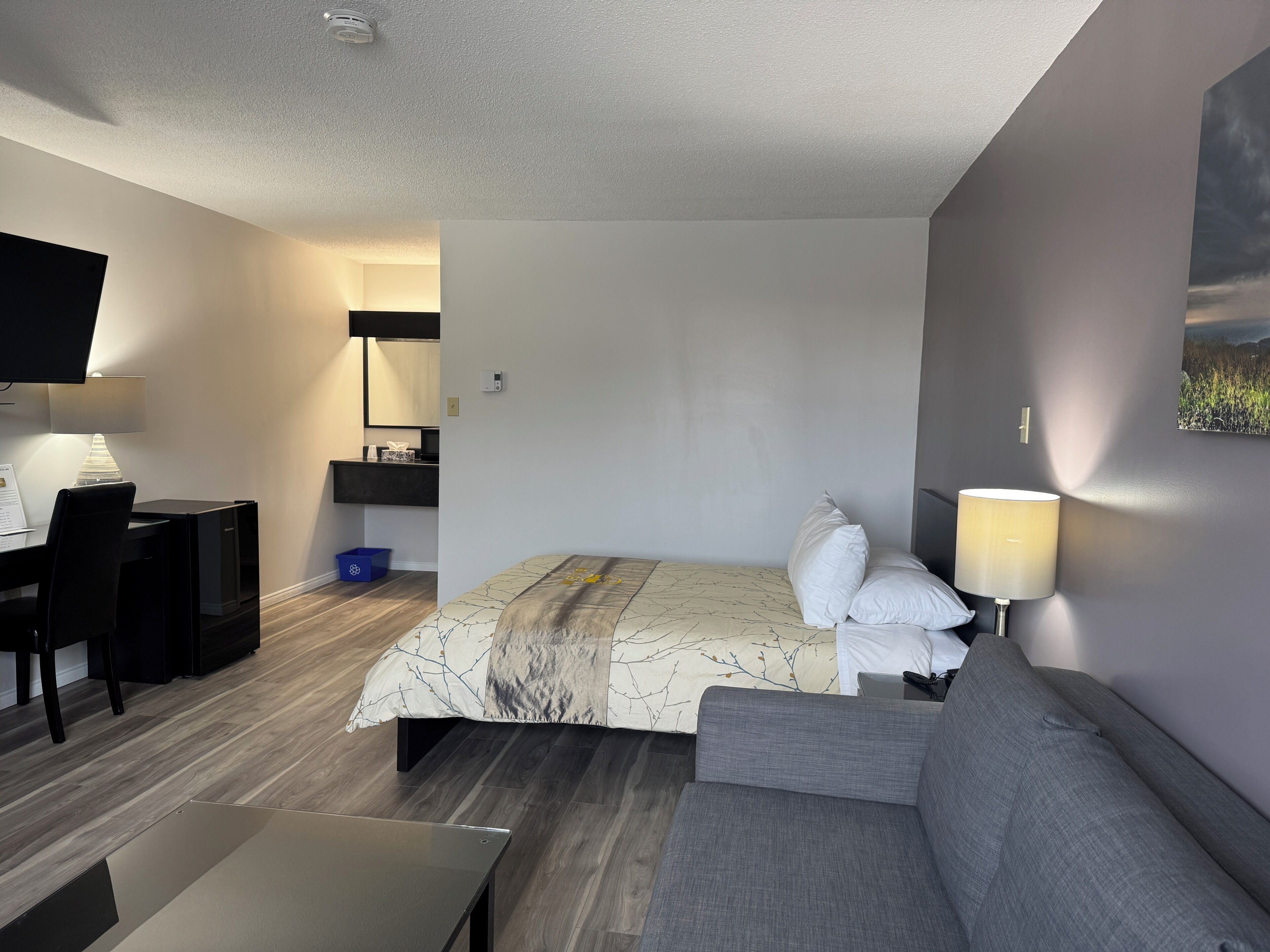 Een moderne hotelkamer met een bed, een bank, een bureau en een televisie.