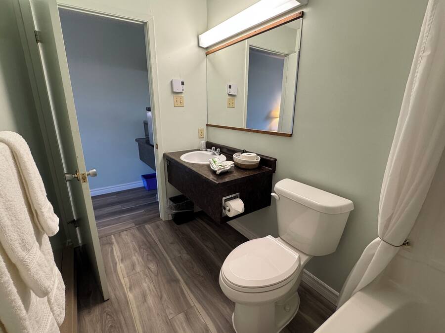 A bathroom with a white toilet, a sink with a dark countertop, and a mirror above the sink.