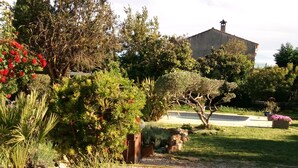 Un jardin avec différentes sortes de plantes et un tuyau d’arrosage.