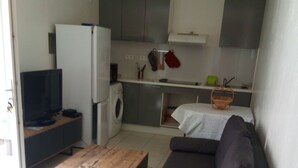 Un espace de vie compact comprenant un canapé, une table basse, un lave-linge, un téléviseur et un coin cuisine avec des placards et un évier.