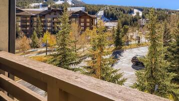 Condo, 2 Bedrooms | Balcony
