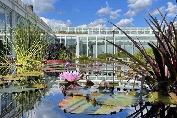 Àrea exterior de l'allotjament