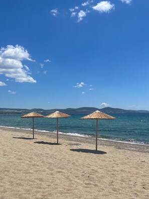 Playa