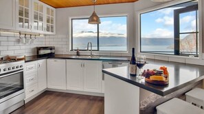 Réfrigérateur, micro-ondes, plaque de cuisson, lave-vaisselle