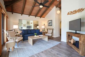 Téléviseur à écran plat, lecteur de DVD, livres, chaîne audio