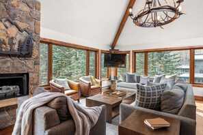 Smart TV, chimenea y reproductor de DVD 