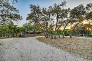 A gravel driveway leading to a rustic cabin with a fenced yard and trees.