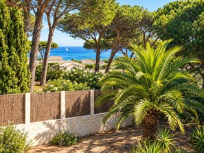 A coastal property with a view of the sea, a stone wall, and a variety of trees including a palm.