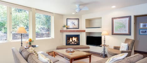 TV connectée, cheminée, lecteur de DVD