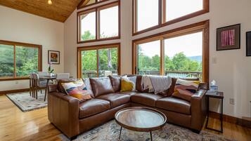 Smart TV, fireplace, DVD player, books