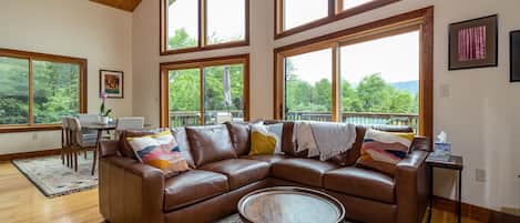 Smart TV, fireplace, DVD player, books