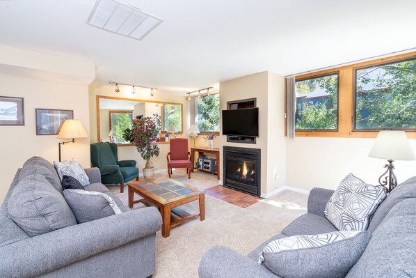 Smart TV, chimenea y estéreo 