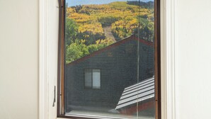 Una ventana con vista a una ladera boscosa.