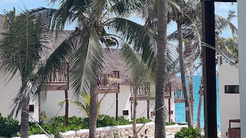 Zona de piscina con palmeras, un muro de piedra y una terraza de madera.