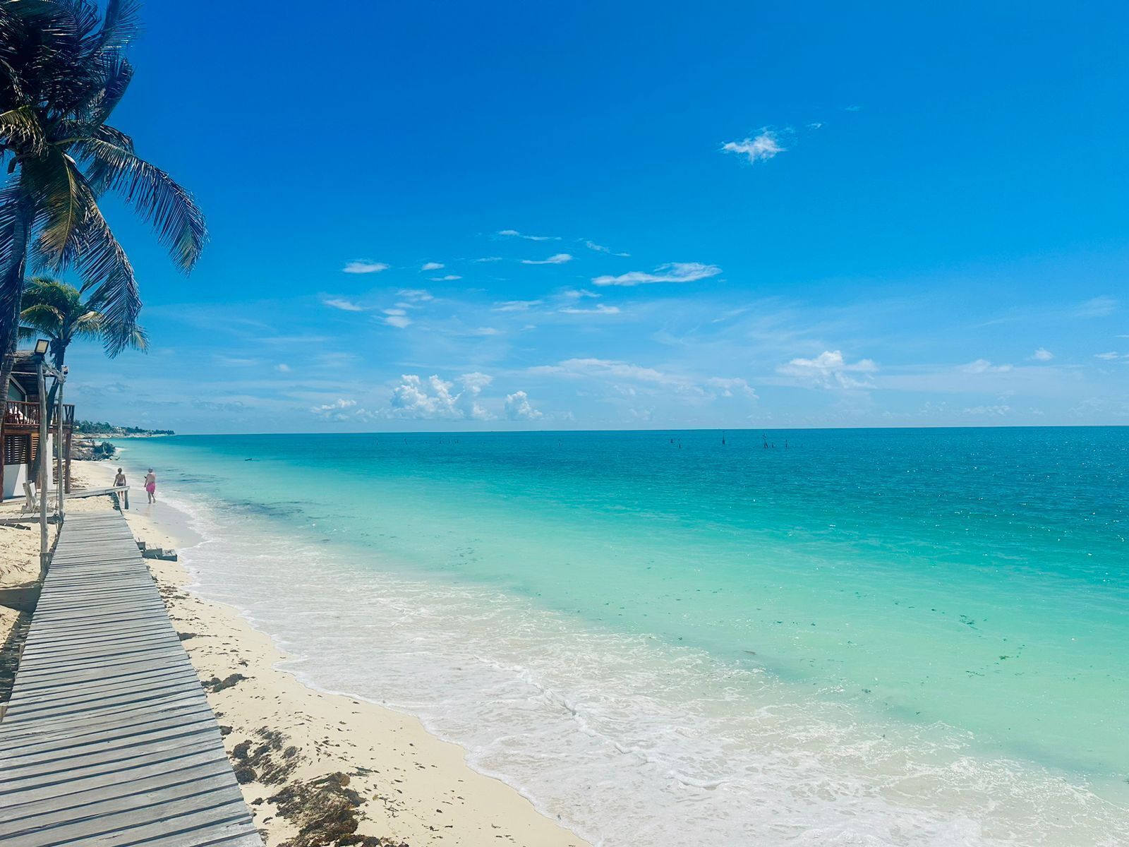 Ein Strand mit klarem türkisblauem Wasser, einer Holzstege und einer Palme.