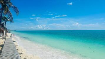 Ein Strand mit klarem türkisblauem Wasser, einer Holzstege und einer Palme.