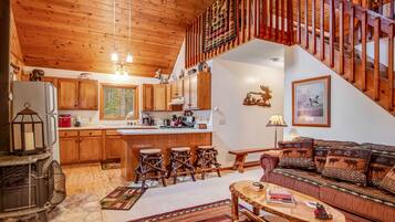 TV, fireplace, books