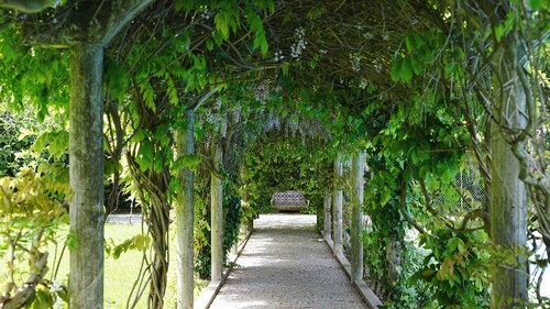 Stunning Pink Palace in Cucujães, Aveiro, Portugal