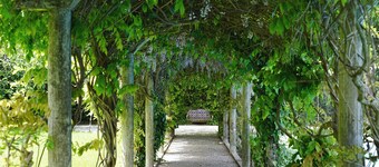 Stunning Pink Palace in Cucujães, Aveiro, Portugal