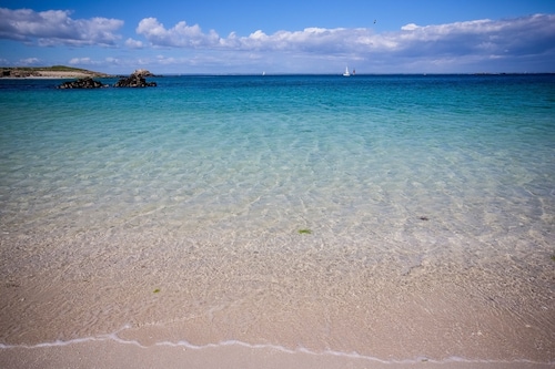 "Ti-Coat" maison bois neuve de plain-pied à Quimperlé