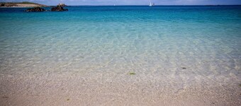 "Ti-Coat" new single-storey wooden house in Quimperlé