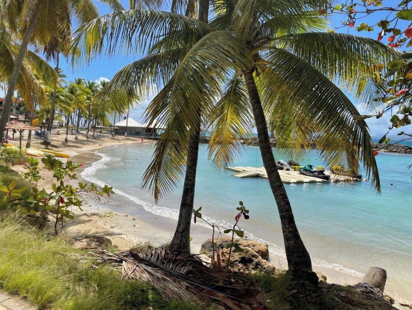 A beach with palm trees, clear blue water, and a boat docked near the shore.