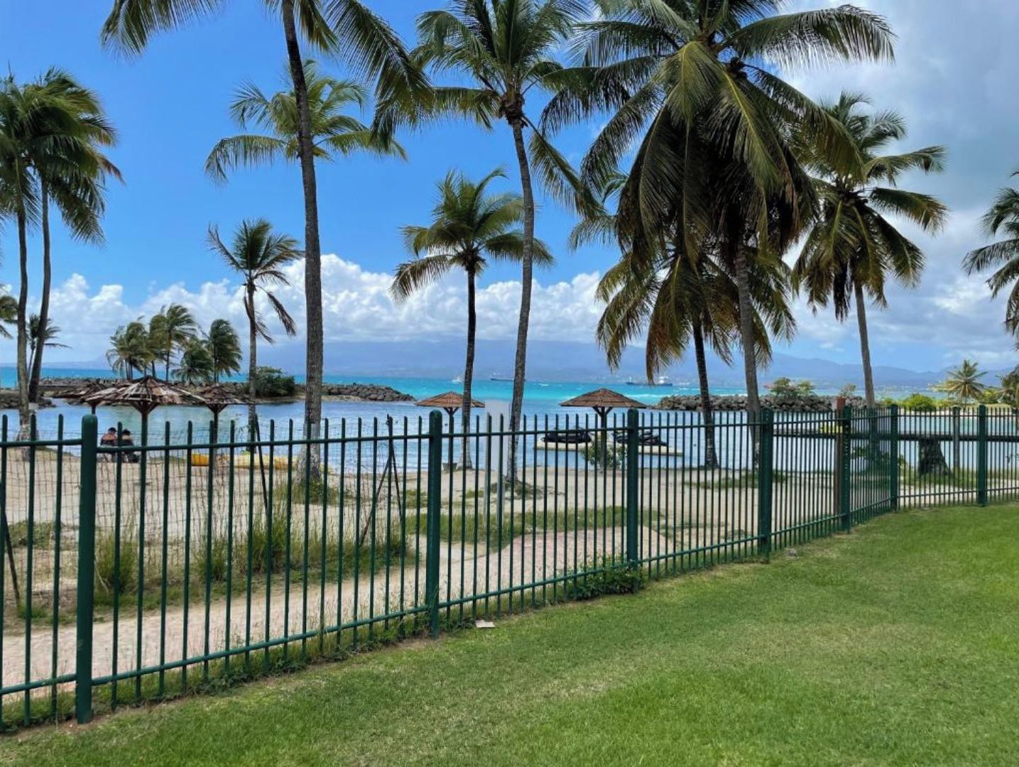 Un'area di spiaggia recintata con palme, cielo sereno e vista sull'oceano.