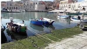 A harbor with boats docked, a stone wall, and buildings in the background.