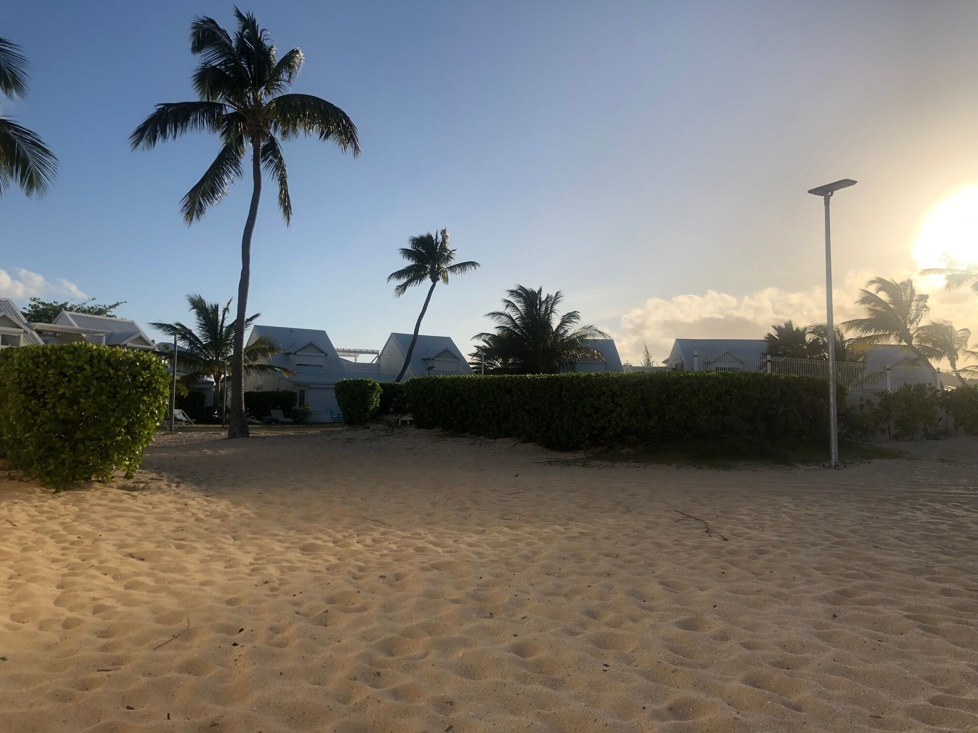 A sandy beach area with palm trees, a hedge, and a row of white buildings with sloped roofs.